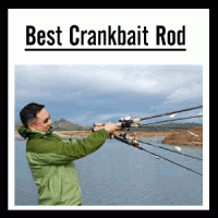 Best Crankbait Rod